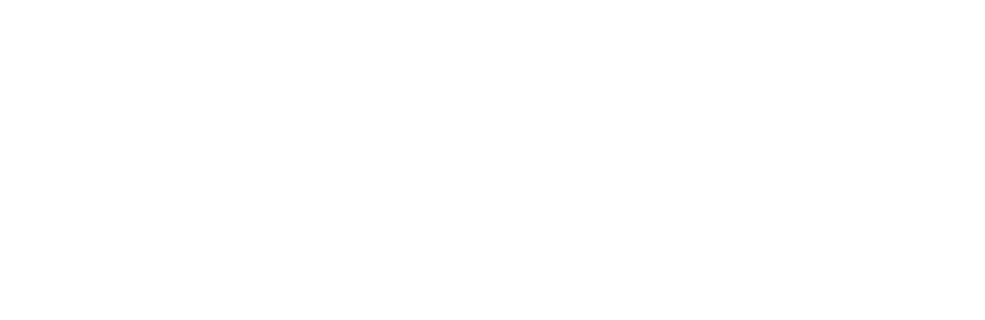 Toustrm official logo